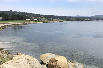 Monterey