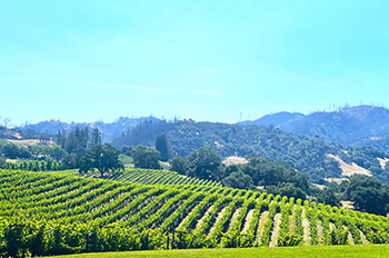 Sonoma